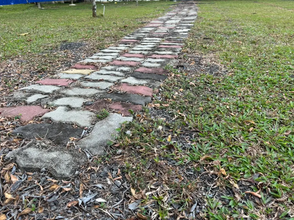落葉之間經過歲月磨蝕的校園磚徑