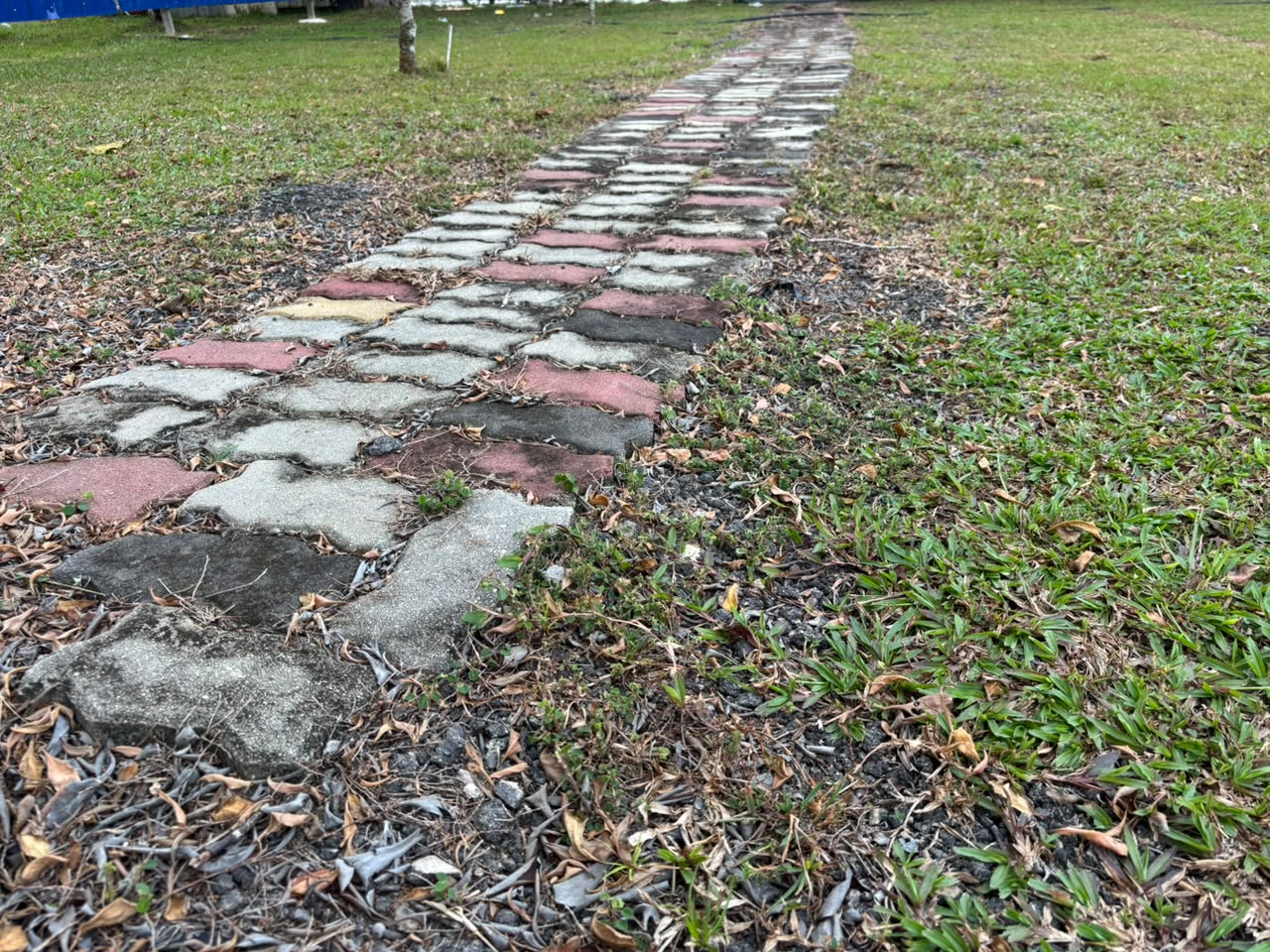 落葉之間經過歲月磨蝕的校園磚徑